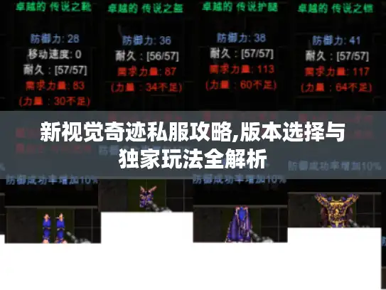 新视觉奇迹私服攻略,版本选择与独家玩法全解析