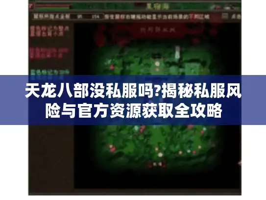 天龙八部没私服吗?揭秘私服风险与官方资源获取全攻略