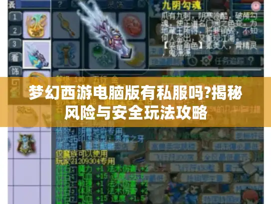 梦幻西游电脑版有私服吗?揭秘风险与安全玩法攻略