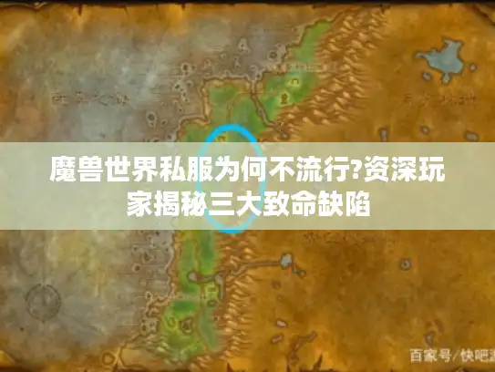 魔兽世界私服为何不流行?资深玩家揭秘三大致命缺陷