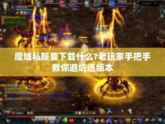 魔域私服要下载什么?老玩家手把手教你避坑选版本