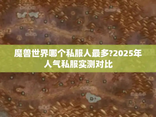 魔兽世界哪个私服人最多?2025年人气私服实测对比