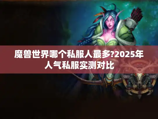 魔兽世界哪个私服人最多?2025年人气私服实测对比