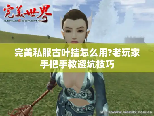 完美私服古叶挂怎么用?老玩家手把手教避坑技巧 完美私服古叶挂怎么用?老玩家手把手教避坑技巧