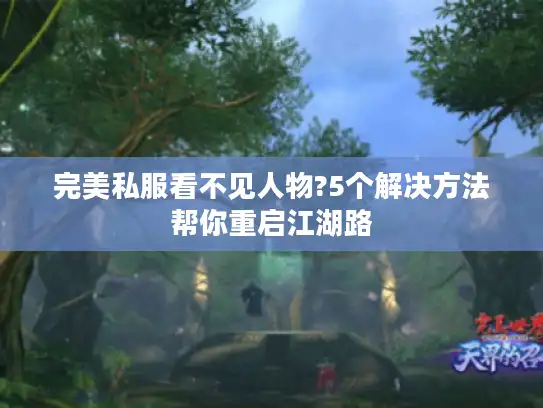 完美私服看不见人物?5个解决方法帮你重启江湖路