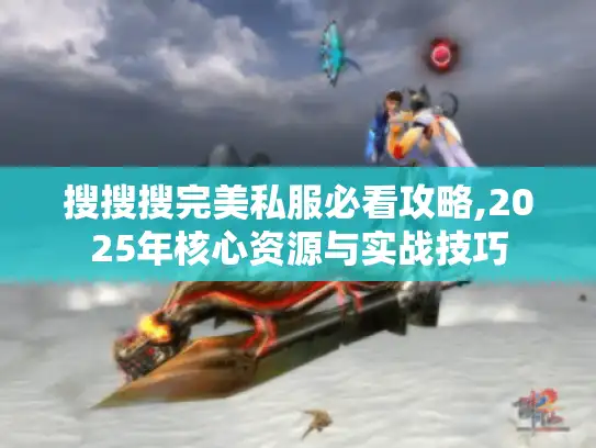 搜搜搜完美私服必看攻略,2025年核心资源与实战技巧