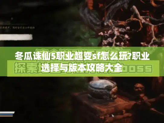 冬瓜诛仙5职业超变sf怎么玩?职业选择与版本攻略大全