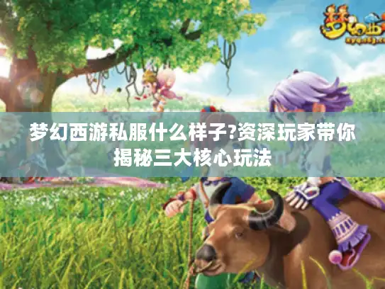 梦幻西游私服什么样子?资深玩家带你揭秘三大核心玩法