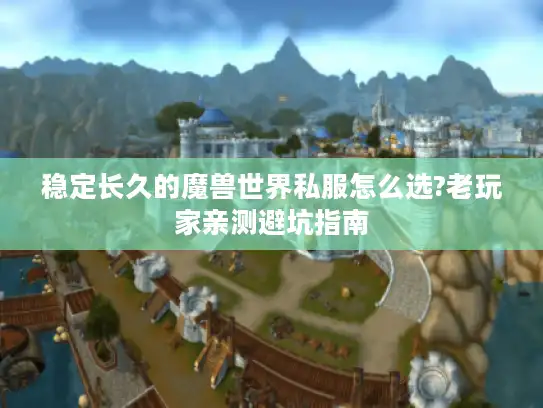 稳定长久的魔兽世界私服怎么选?老玩家亲测避坑指南
