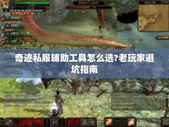 奇迹私服辅助工具怎么选?老玩家避坑指南