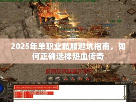 2025年单职业私服避坑指南，如何正确选择热血传奇