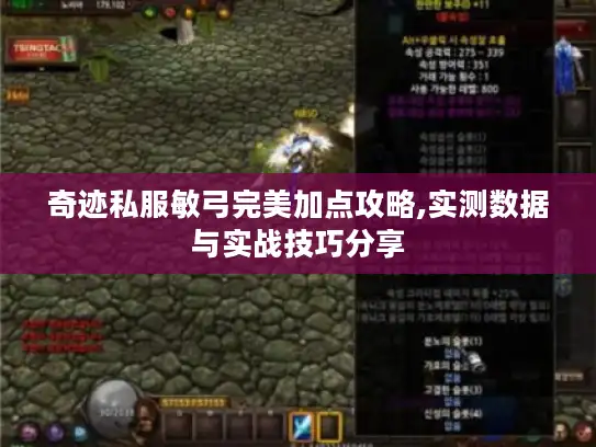奇迹私服敏弓完美加点攻略,实测数据与实战技巧分享