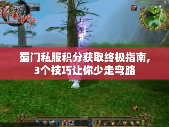 蜀门私服积分获取终极指南,3个技巧让你少走弯路