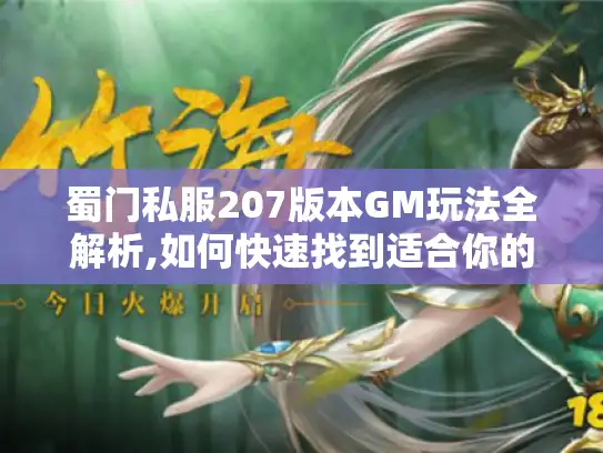 蜀门私服207版本GM玩法全解析,如何快速找到适合你的攻略?