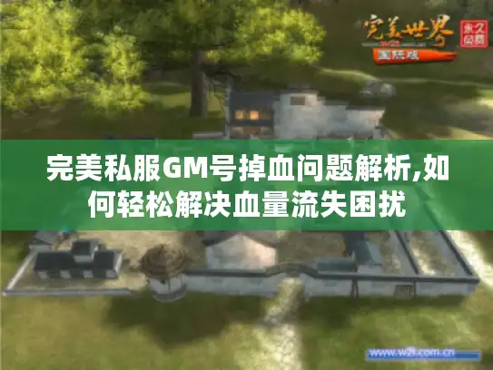 完美私服GM号掉血问题解析,如何轻松解决血量流失困扰 完美私服GM号掉血问题解析,如何轻松解决血量流失困扰