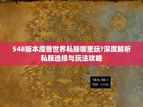548版本魔兽世界私服哪里玩?深度解析私服选择与玩法攻略