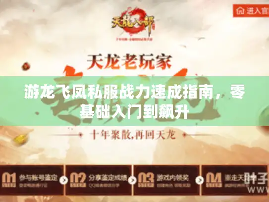 游龙飞凤私服战力速成指南，零基础入门到飙升