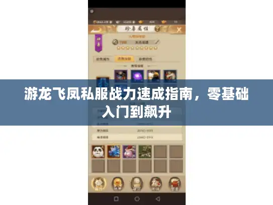 游龙飞凤私服战力速成指南，零基础入门到飙升