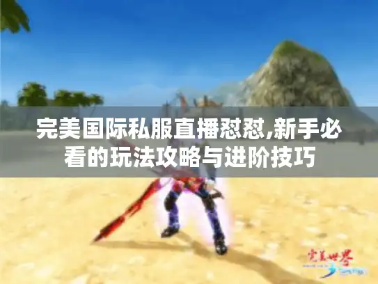 完美国际私服直播怼怼,新手必看的玩法攻略与进阶技巧