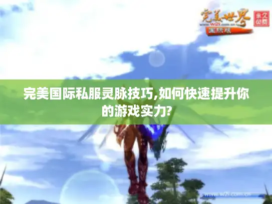 完美国际私服灵脉技巧,如何快速提升你的游戏实力?