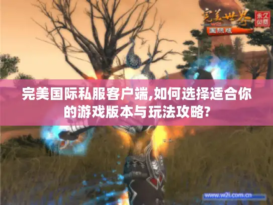 完美国际私服客户端,如何选择适合你的游戏版本与玩法攻略?