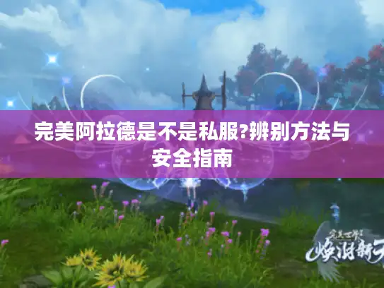 完美阿拉德是不是私服?辨别方法与安全指南