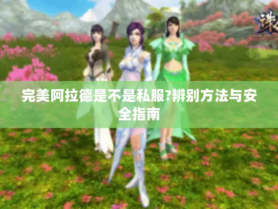 完美阿拉德是不是私服?辨别方法与安全指南
