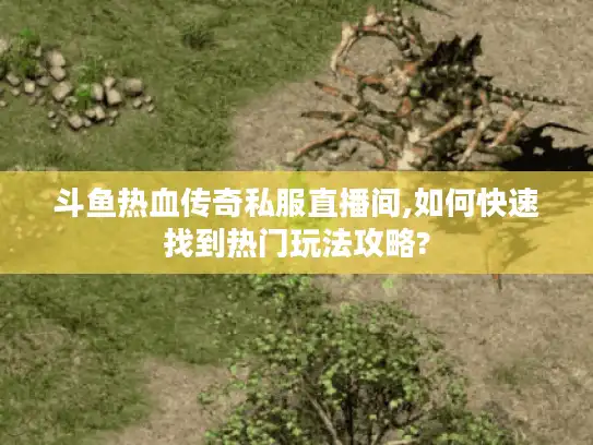 斗鱼热血传奇私服直播间,如何快速找到热门玩法攻略?