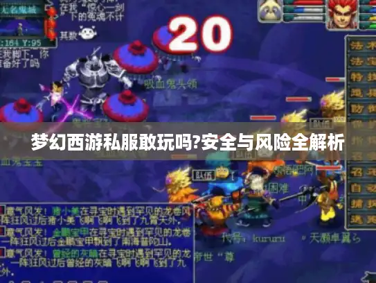 梦幻西游私服敢玩吗?安全与风险全解析