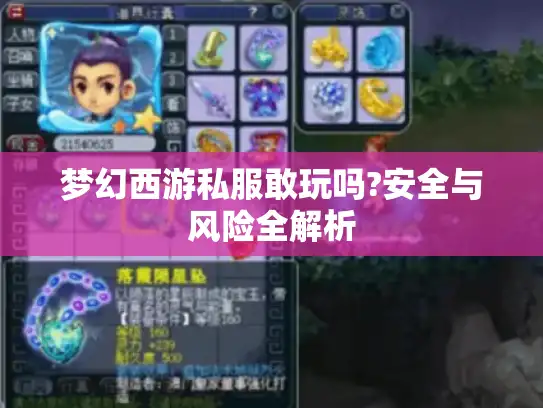 梦幻西游私服敢玩吗?安全与风险全解析