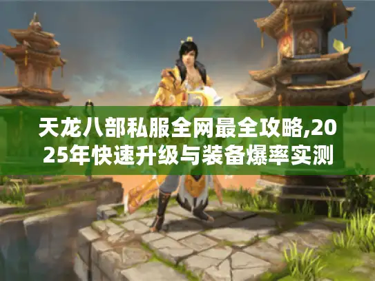 天龙八部私服全网最全攻略,2025年快速升级与装备爆率实测