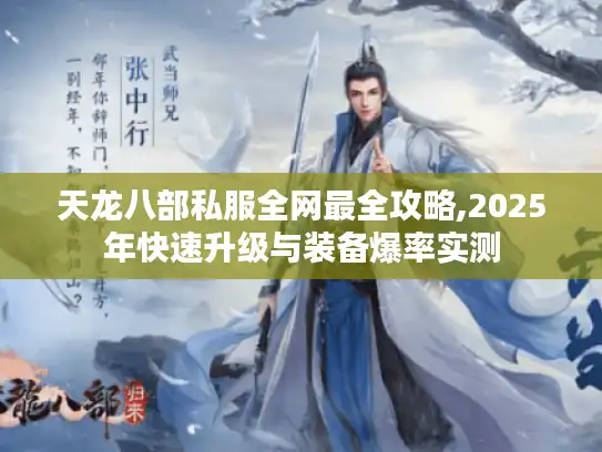 天龙八部私服全网最全攻略,2025年快速升级与装备爆率实测 天龙八部私服全网最全攻略,2025年快速升级与装备爆率实测