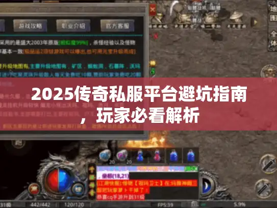 2025传奇私服平台避坑指南,玩家必看解析 2025传奇私服平台避坑指南,玩家必看解析