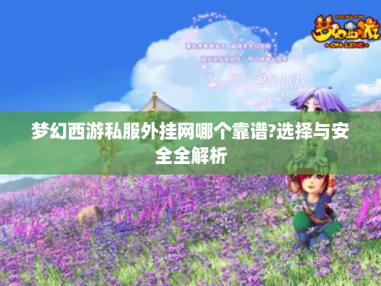梦幻西游私服外挂网哪个靠谱?选择与安全全解析