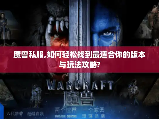 魔兽私服,如何轻松找到最适合你的版本与玩法攻略?