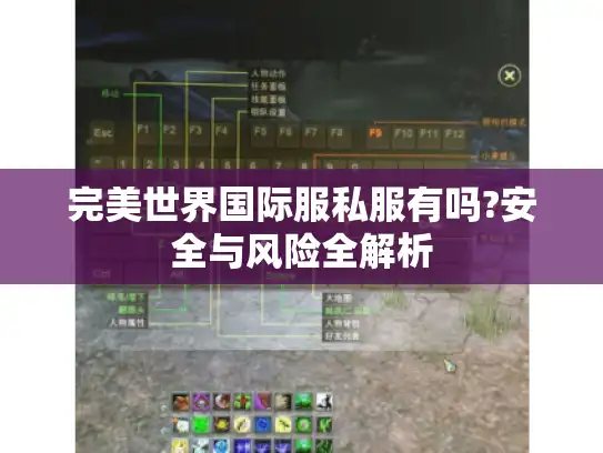 完美世界国际服私服有吗?安全与风险全解析 完美世界国际服私服有吗?安全与风险全解析