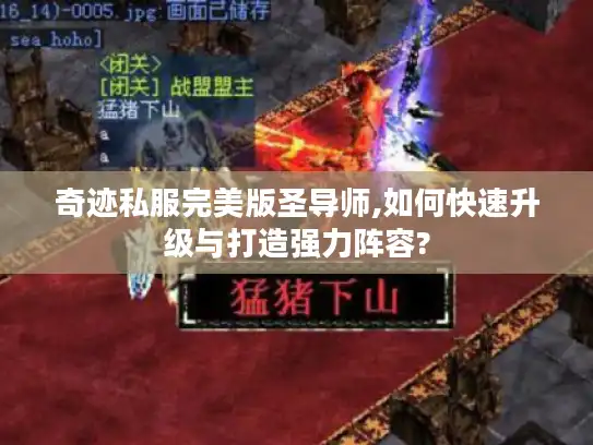 奇迹私服完美版圣导师,如何快速升级与打造强力阵容?