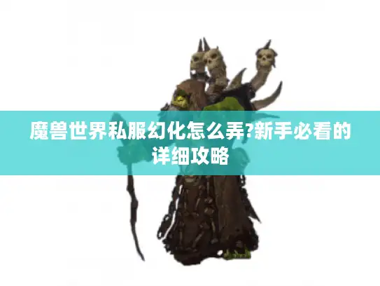魔兽世界私服幻化怎么弄?新手必看的详细攻略
