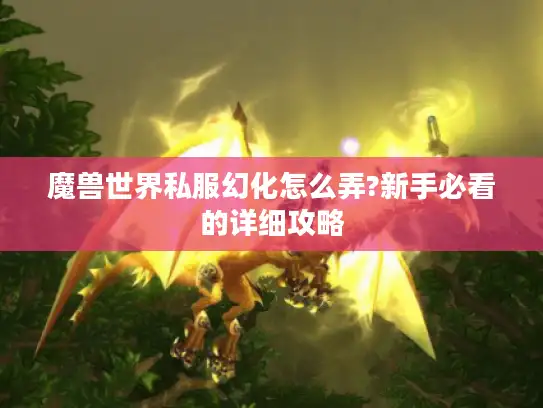 魔兽世界私服幻化怎么弄?新手必看的详细攻略
