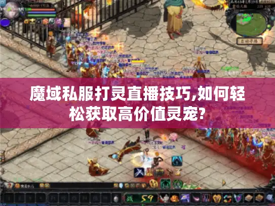 魔域私服打灵直播技巧,如何轻松获取高价值灵宠?