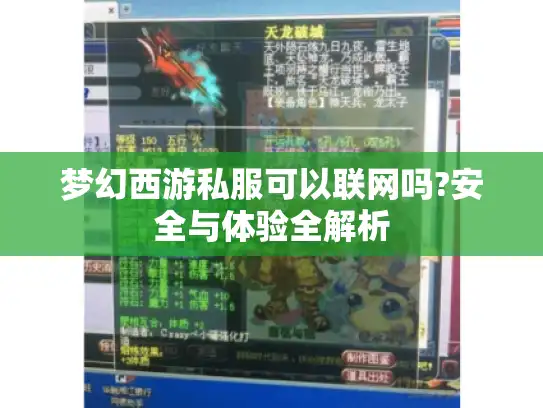 梦幻西游私服可以联网吗?安全与体验全解析