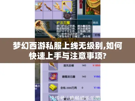 梦幻西游私服上线无级别,如何快速上手与注意事项?