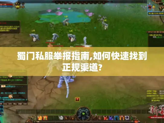 蜀门私服举报指南,如何快速找到正规渠道?