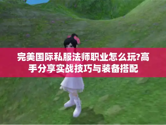 完美国际私服法师职业怎么玩?高手分享实战技巧与装备搭配 完美国际私服法师职业怎么玩?高手分享实战技巧与装备搭配