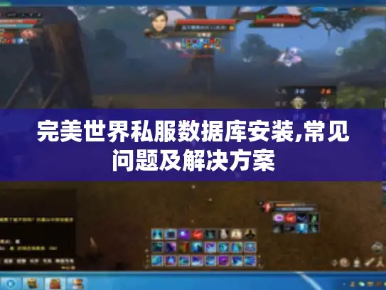 完美世界私服数据库安装,常见问题及解决方案