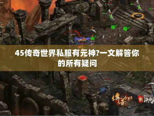 45传奇世界私服有元神?一文解答你的所有疑问
