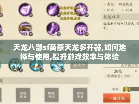 天龙八部sf英豪天龙多开器,如何选择与使用,提升游戏效率与体验