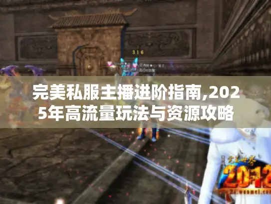 完美私服主播进阶指南,2025年高流量玩法与资源攻略