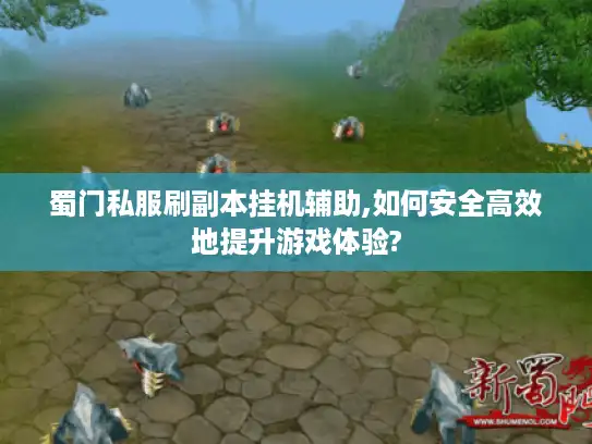 蜀门私服刷副本挂机辅助,如何安全高效地提升游戏体验?