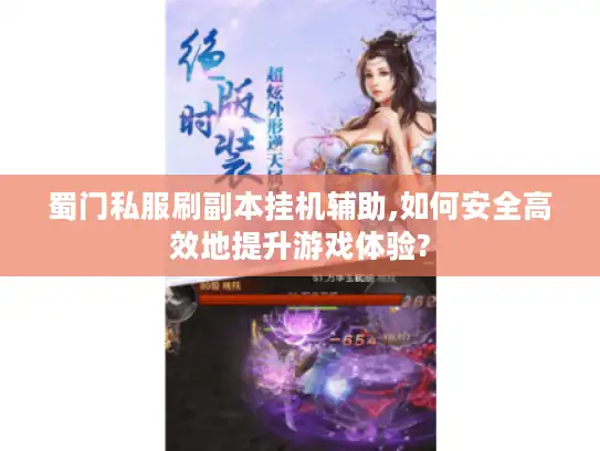 蜀门私服刷副本挂机辅助,如何安全高效地提升游戏体验?